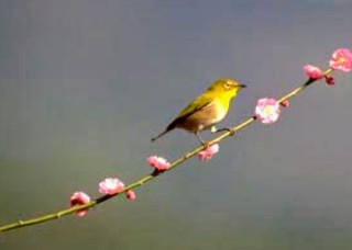 f:id:hukkats:20250605183603j:image