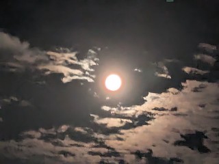 f:id:hukkats:20250809222658j:image f:id:hukkats:20250809222658j:image