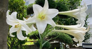 f:id:hukkats:20250809230027j:image f:id:hukkats:20250809230027j:image