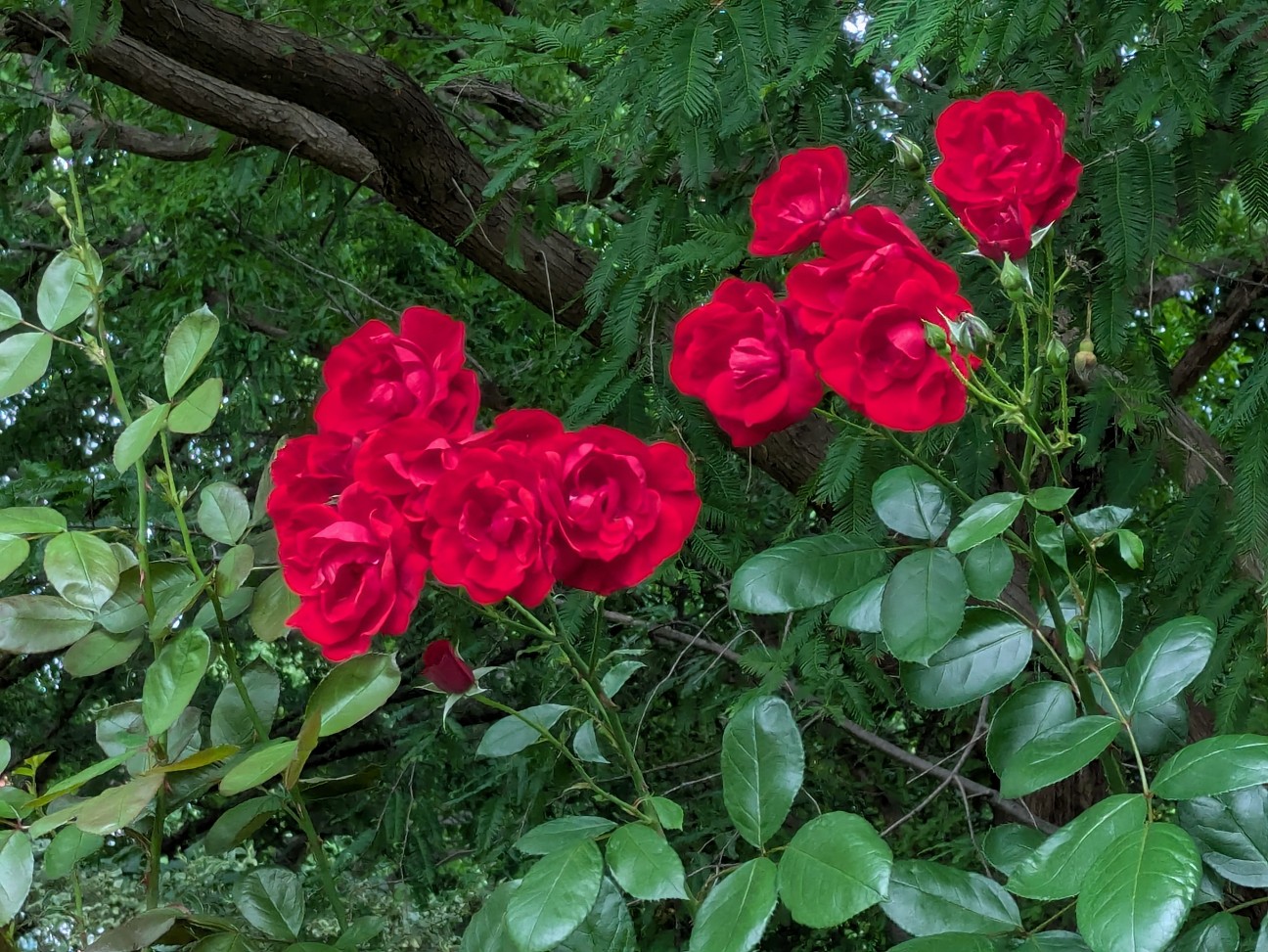f:id:hukkats:20260705232811j:image f:id:hukkats:20260705232811j:image