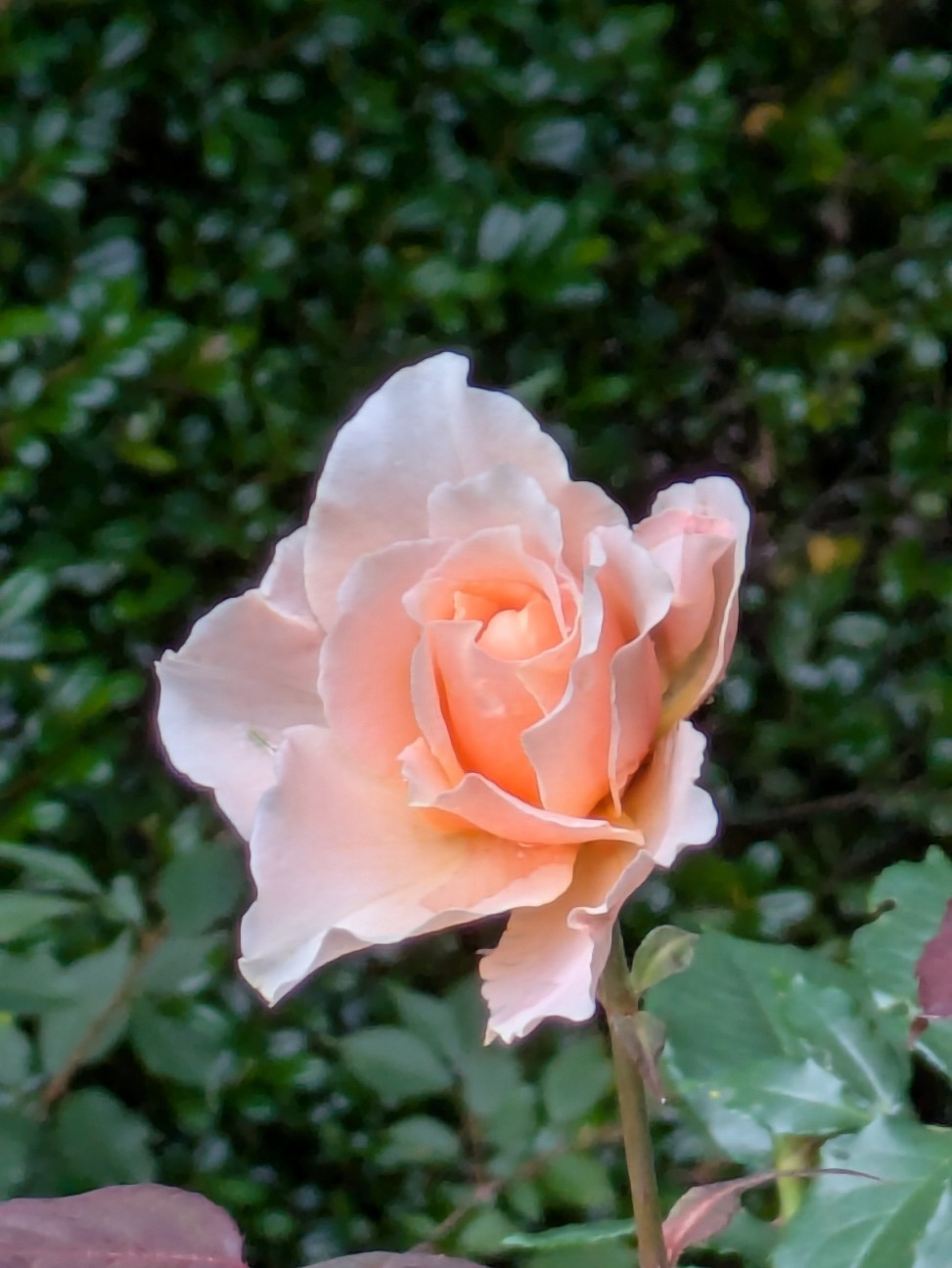 f:id:hukkats:20260705234127j:image f:id:hukkats:20260705234127j:image