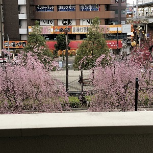 f:id:huku1910:20210322182113j:plain