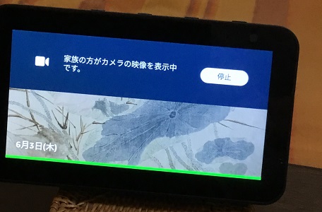 f:id:huku1910:20210603181446j:plain