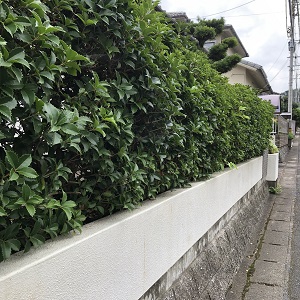 f:id:huku1910:20210908214610j:plain