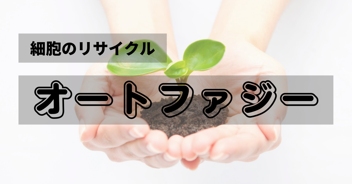 f:id:hukugyou-ouen:20210723212657p:plain
