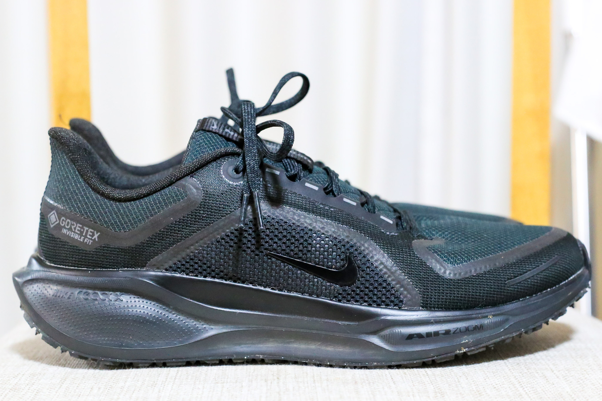 ドノーマル】ナイキのペガサス41ゴアテックスは、多くのランナーが