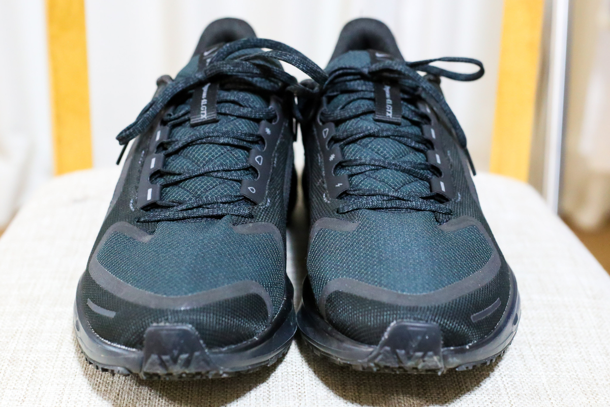 ドノーマル】ナイキのペガサス41ゴアテックスは、多くのランナーが