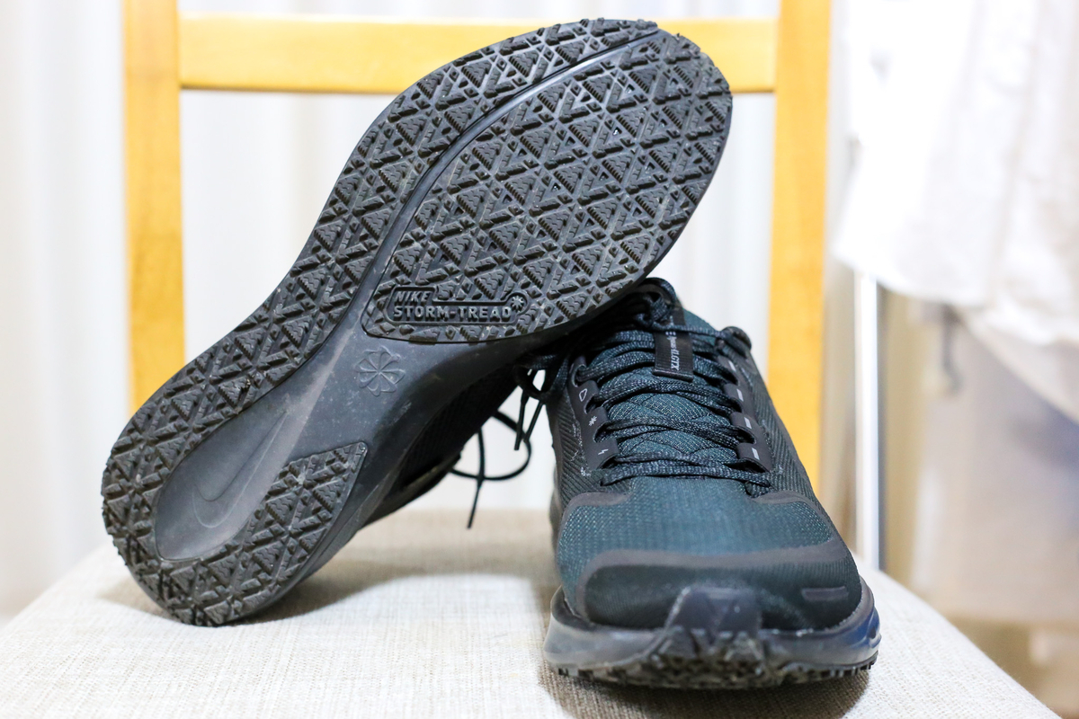 ドノーマル】ナイキのペガサス41ゴアテックスは、多くのランナーが