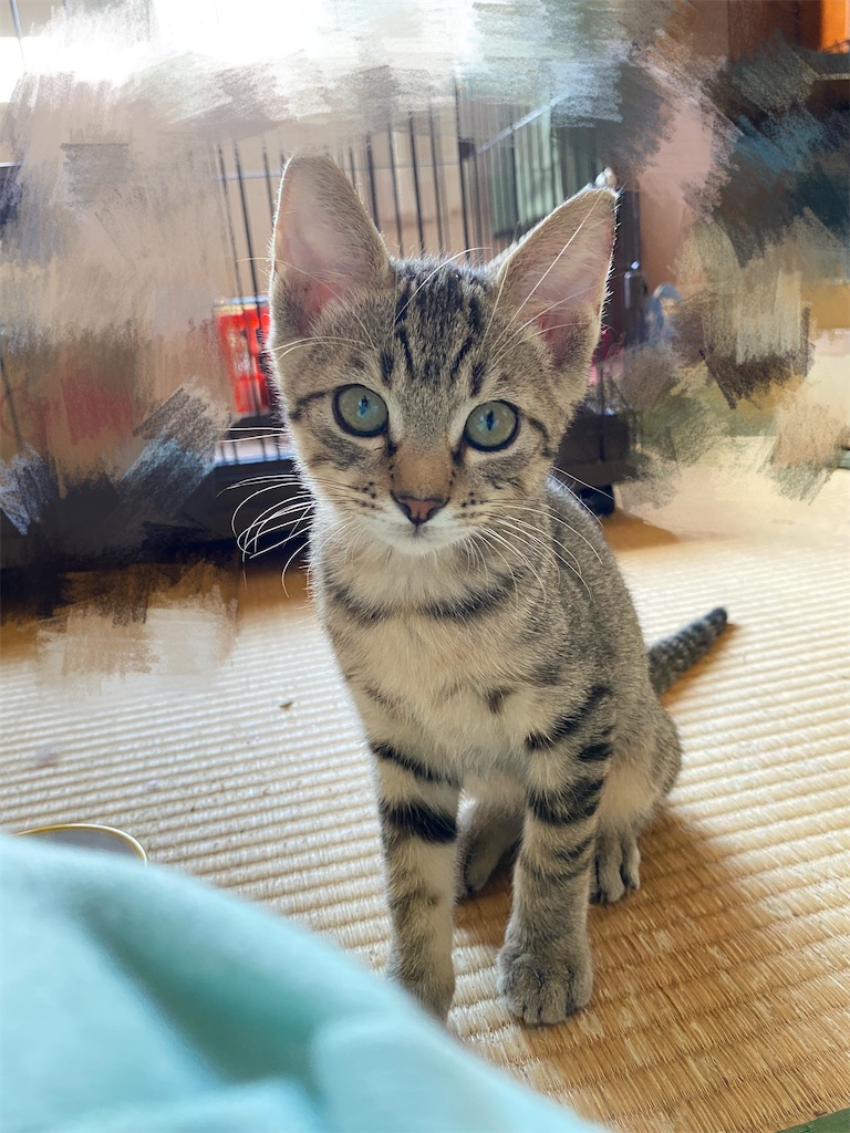 f:id:hukunekonosato:20210927135922j:image
