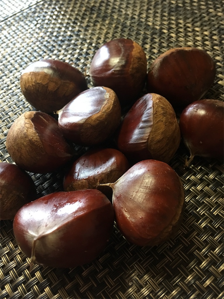 f:id:hukunekox:20180910105738j:image