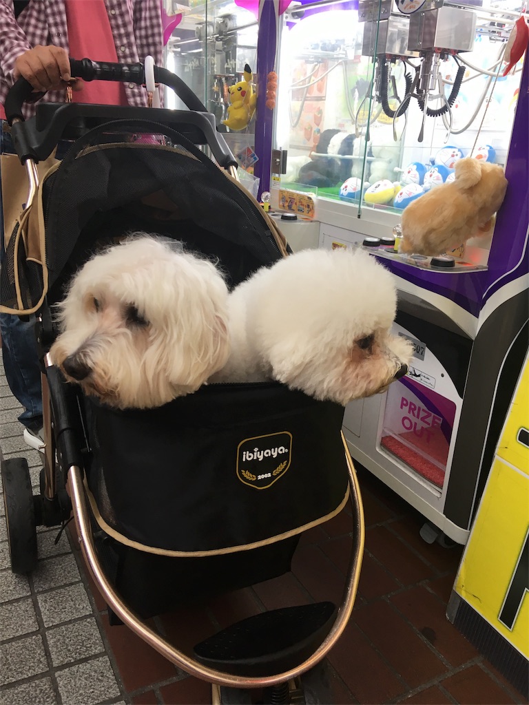 f:id:hukunekox:20180910143116j:image