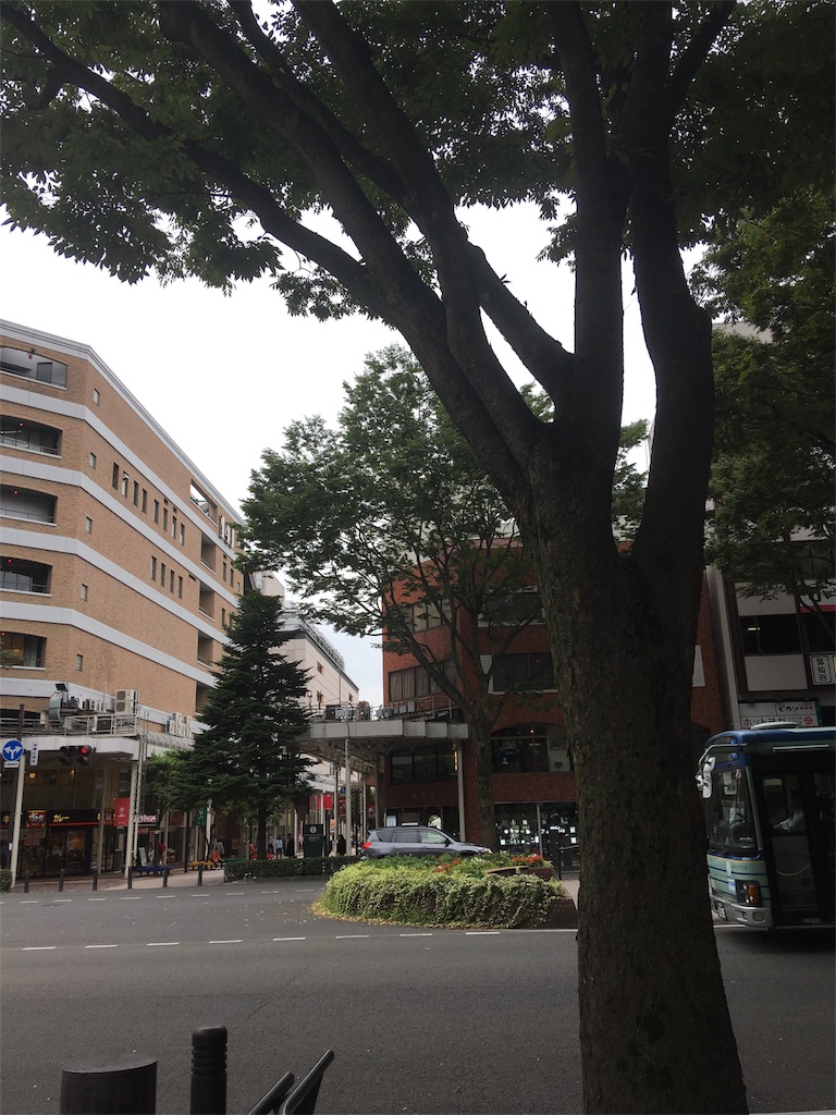 f:id:hukunekox:20180920143603j:image