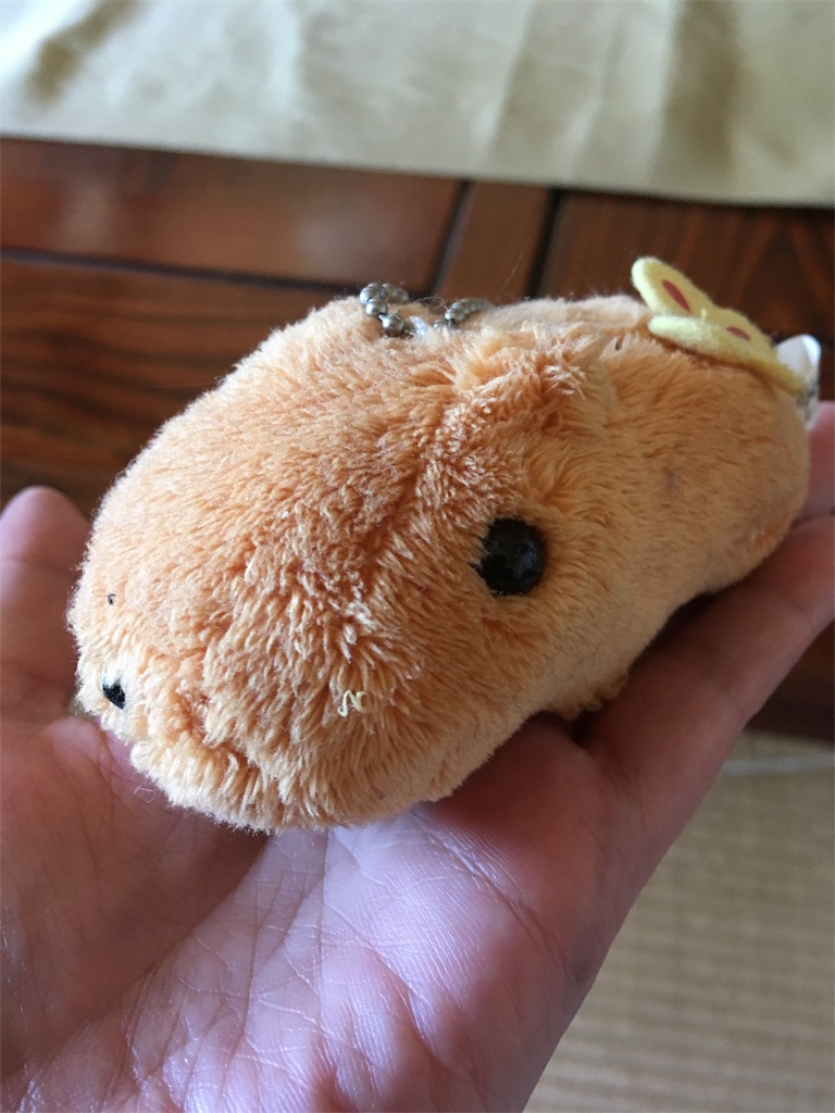 f:id:hukunekox:20180923114814j:image