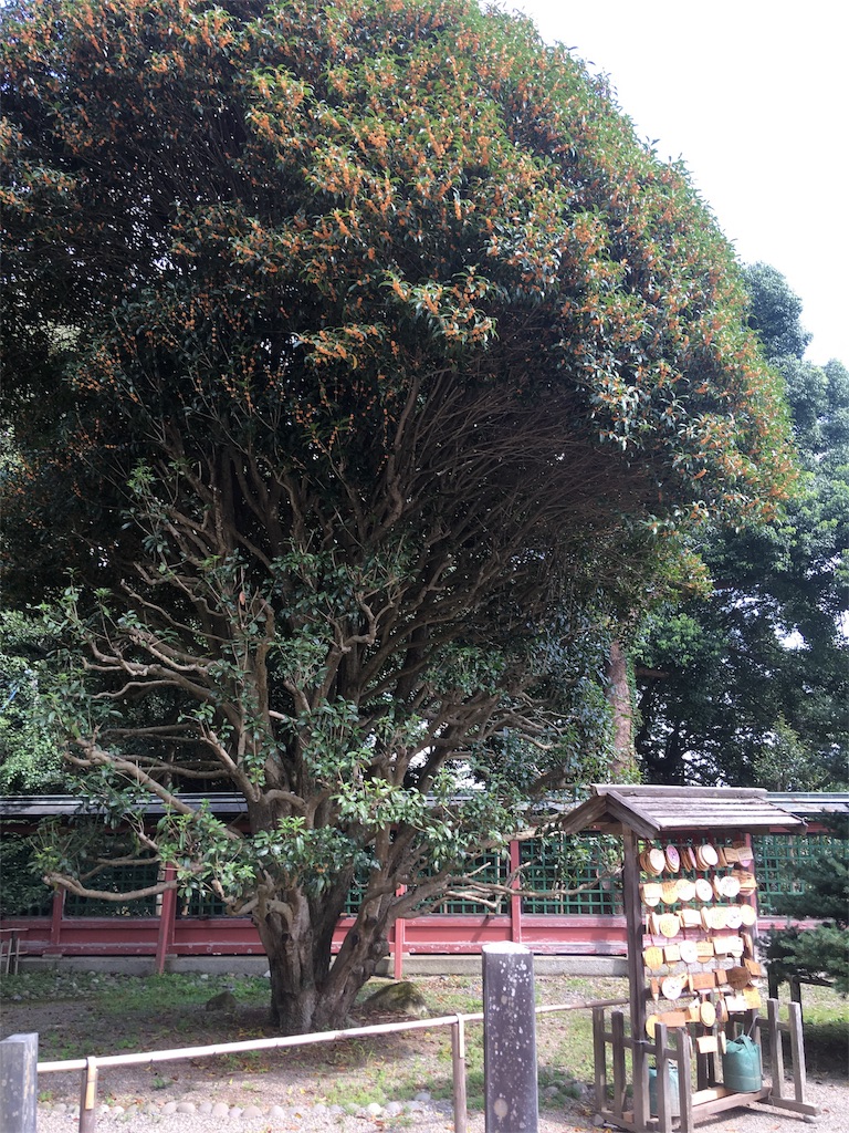 f:id:hukunekox:20180925145346j:image