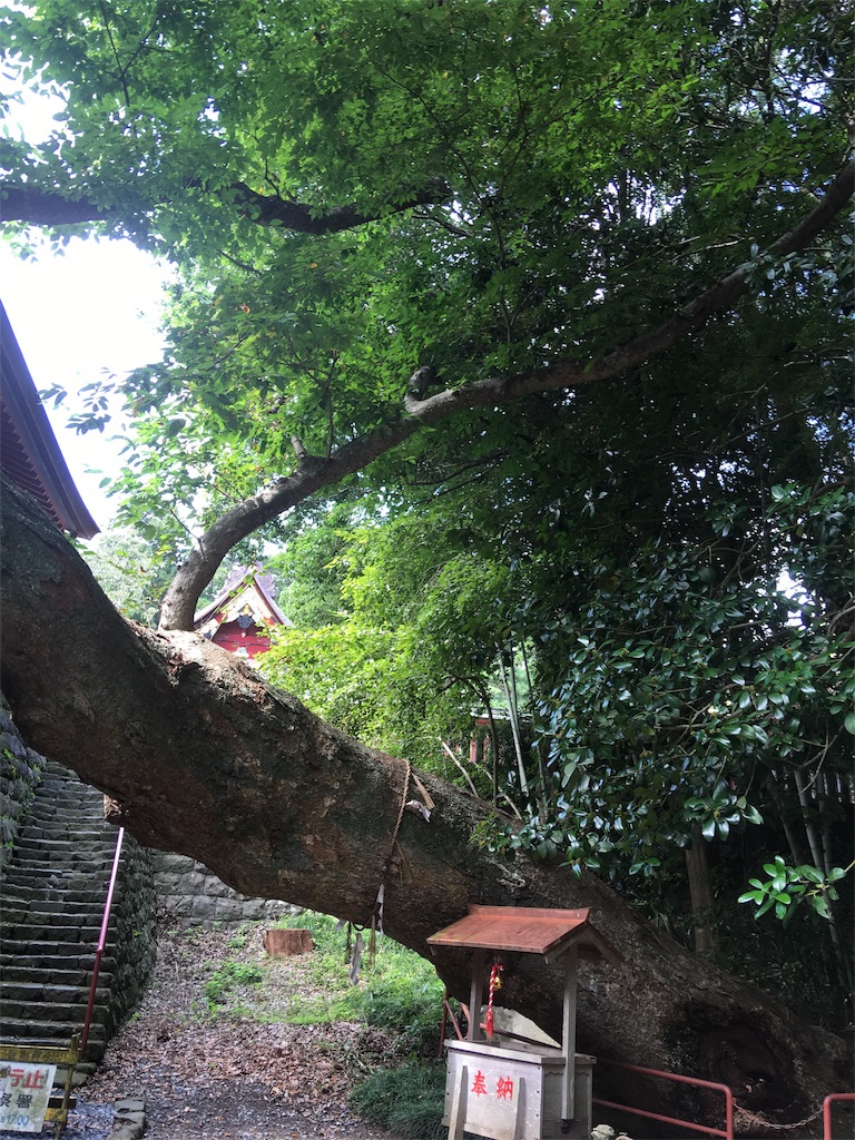f:id:hukunekox:20180925145943j:image