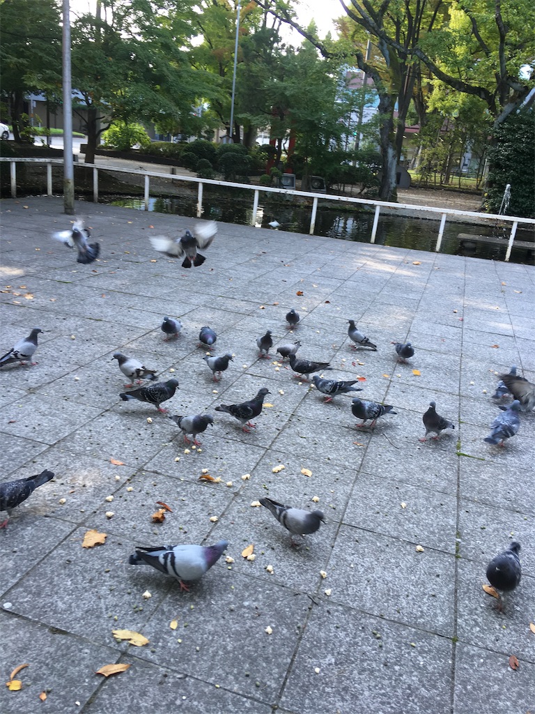 f:id:hukunekox:20181009131205j:image f:id:hukunekox:20181009131205j:image