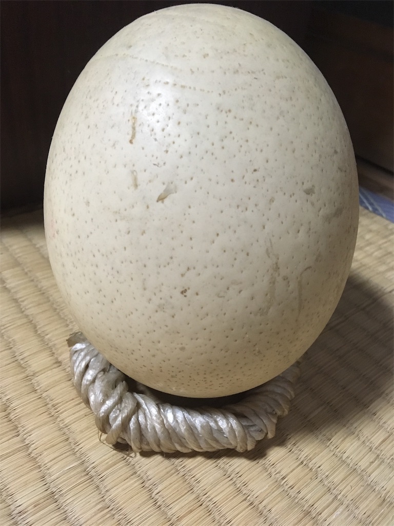 f:id:hukunekox:20181022110256j:image f:id:hukunekox:20181022110256j:image