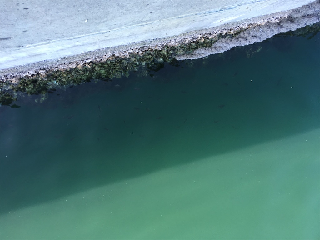 f:id:hukunekox:20181022131027j:image f:id:hukunekox:20181022131027j:image