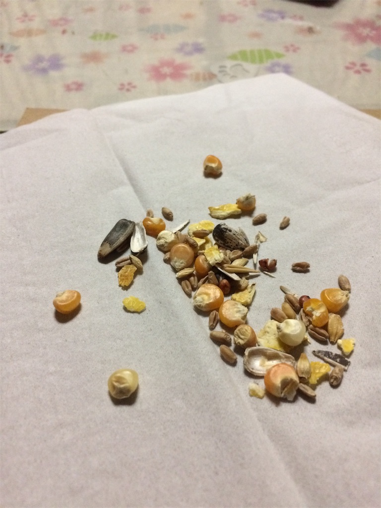f:id:hukunekox:20181023185309j:image