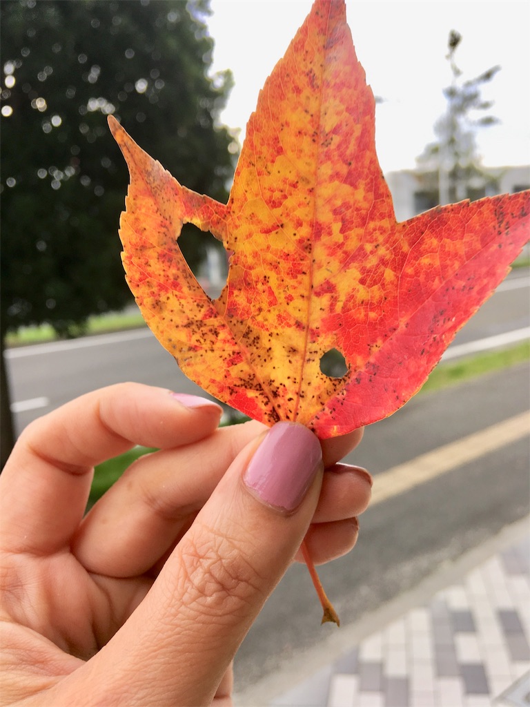 f:id:hukunekox:20181108112419j:image f:id:hukunekox:20181108112419j:image