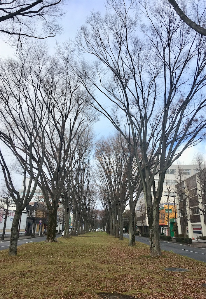 f:id:hukunekox:20181214164158j:image f:id:hukunekox:20181214164158j:image