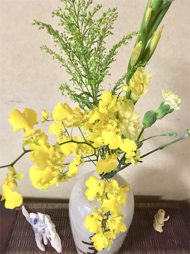 f:id:hukunekox:20190129182359j:image f:id:hukunekox:20190129182359j:image