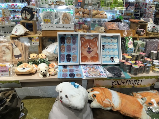 f:id:hukunekox:20190201110909j:image