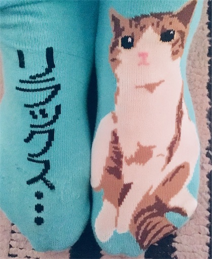 f:id:hukunekox:20190306152419j:image f:id:hukunekox:20190306152419j:image