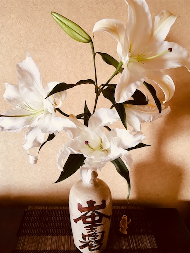 f:id:hukunekox:20190310101831j:image f:id:hukunekox:20190310101831j:image