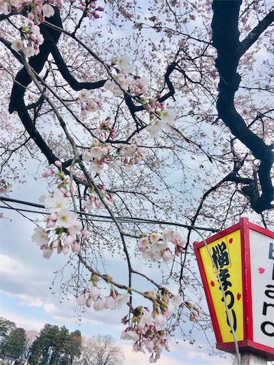 f:id:hukunekox:20190407200510j:image