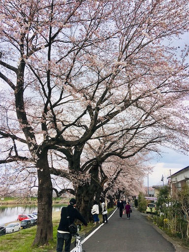 f:id:hukunekox:20190408141452j:image f:id:hukunekox:20190408141452j:image