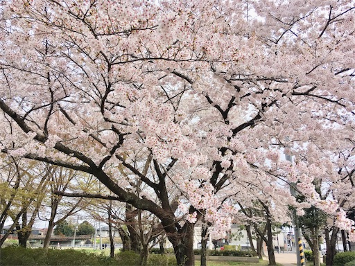 f:id:hukunekox:20190417180327j:image