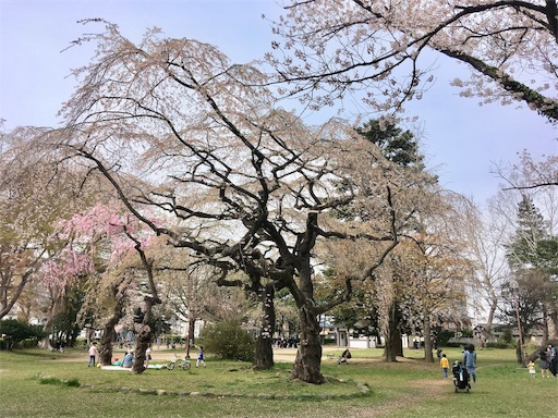 f:id:hukunekox:20190417181449j:image