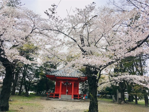 f:id:hukunekox:20190417181452j:image