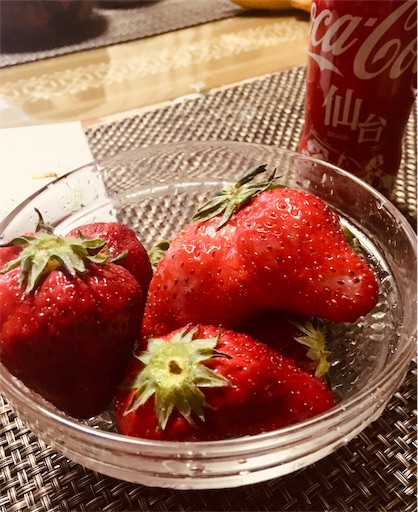 f:id:hukunekox:20190417183809j:image