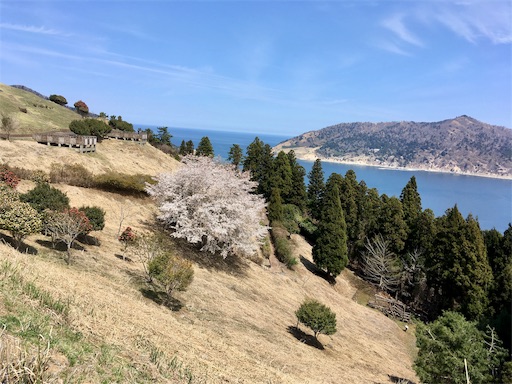 f:id:hukunekox:20190421124433j:image f:id:hukunekox:20190421124433j:image