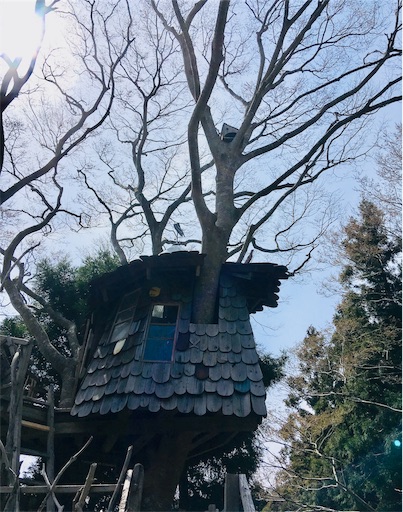 f:id:hukunekox:20190421132632j:image f:id:hukunekox:20190421132632j:image