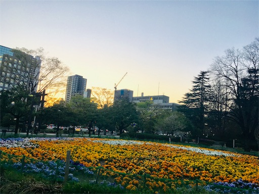 f:id:hukunekox:20190422185847j:image f:id:hukunekox:20190422185847j:image