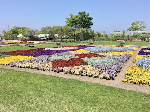 f:id:hukunekox:20190516183256j:image