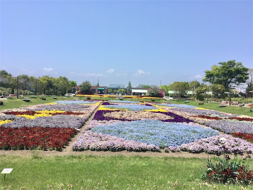 f:id:hukunekox:20190516194405j:image