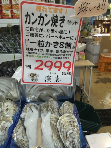 f:id:hukunekox:20190608133132j:image f:id:hukunekox:20190608133132j:image