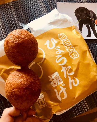 f:id:hukunekox:20190620163258j:image