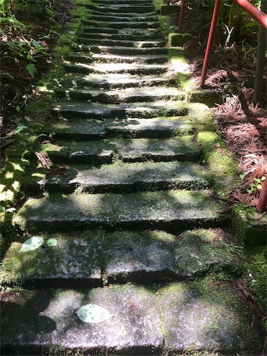 f:id:hukunekox:20190625222357j:image