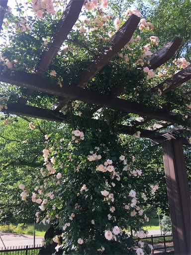 f:id:hukunekox:20190625225030j:image