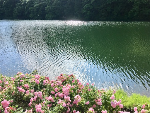 f:id:hukunekox:20190625225349j:image