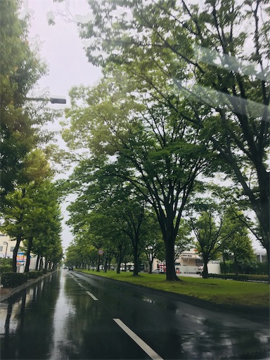 f:id:hukunekox:20190704100720j:image f:id:hukunekox:20190704100720j:image