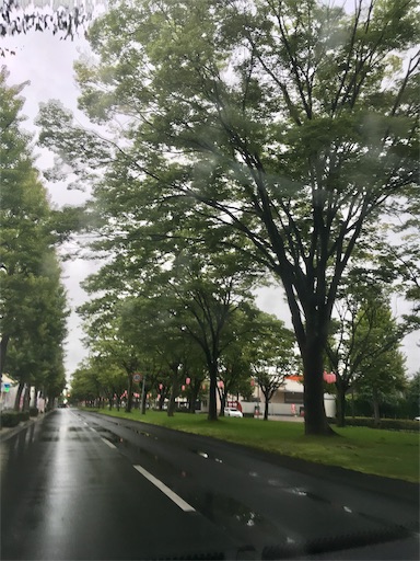 f:id:hukunekox:20190714082532j:image