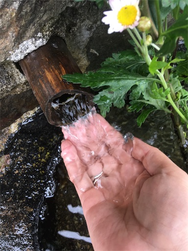 f:id:hukunekox:20190714214131j:image f:id:hukunekox:20190714214131j:image