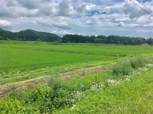 f:id:hukunekox:20190714224158j:image f:id:hukunekox:20190714224158j:image