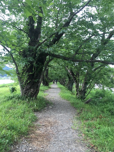 f:id:hukunekox:20190715012403j:image f:id:hukunekox:20190715012403j:image